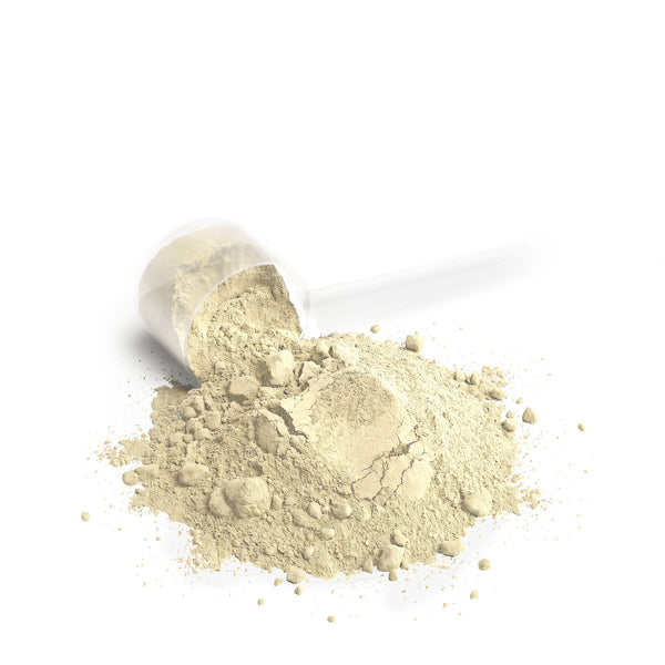 Isolate + Concentrate Whey Protein Blend (Vanilla)