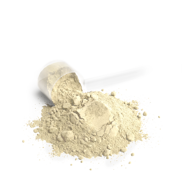 Core Whey Protein Blend (Vanilla)
