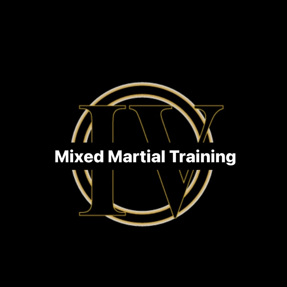 MMT (Mixed Martial Training)