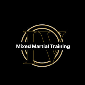 MMT (Mixed Martial Training)